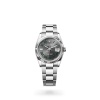 DATEJUST 36 M126234-0046 m126234-0046_collection_upright_landscape