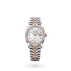 DATEJUST 36 M126281RBR-0009 m126281rbr-0009_collection_upright_landscape