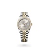 DATEJUST 36 M126283RBR-0017 m126283rbr-0017_collection_upright_landscape