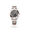 DATEJUST 41 M126301-0019 m126301-0019_collection_upright_landscape