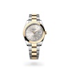 DATEJUST 41 M126303-0001 m126303-0001_collection_upright_landscape