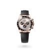 COSMOGRAPH DAYTONA M126515LN-0006 m126515ln-0006_collection_upright_landscape