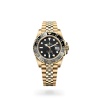 GMT-MASTER II M126718GRNR-0001 m126718grnr-0001_collection_upright_landscape