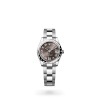 DATEJUST 31 M278344RBR-0029 m278344rbr-0029_collection_upright_landscape