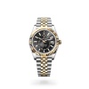 Sky-Dweller M336933-0004 m336933-0004_collection_upright_landscape