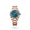 Sky-Dweller M336935-0001 m336935-0001_collection_upright_landscape