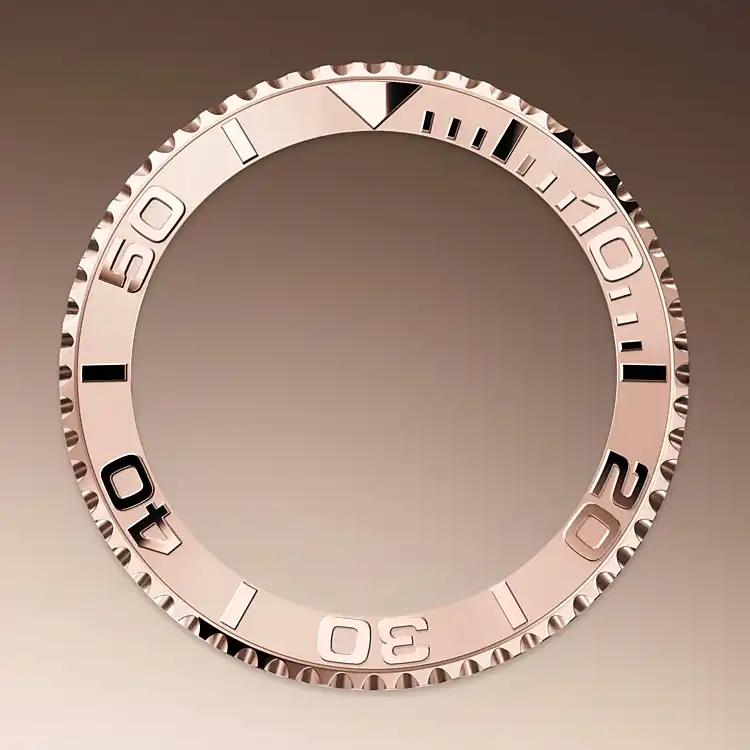 BIDIRECTIONAL ROTATABLE BEZEL