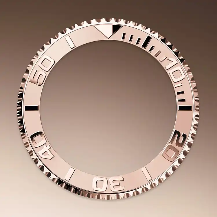 BIDIRECTIONAL ROTATABLE BEZEL