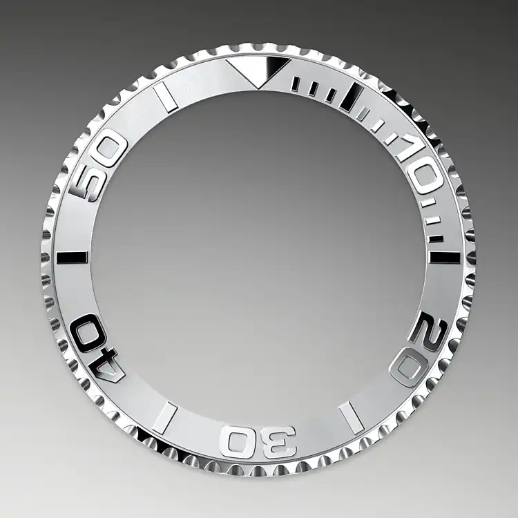 BIDIRECTIONAL ROTATABLE BEZEL