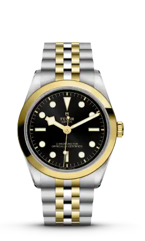 Tudor BLACK BAY 31/36/39/41 S&G