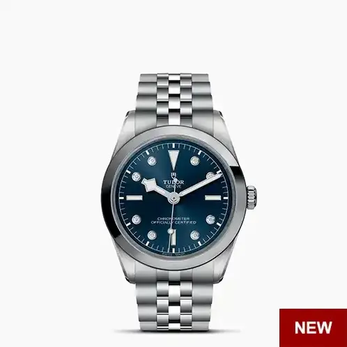 Tudor Black Bay 36 M79640-0005