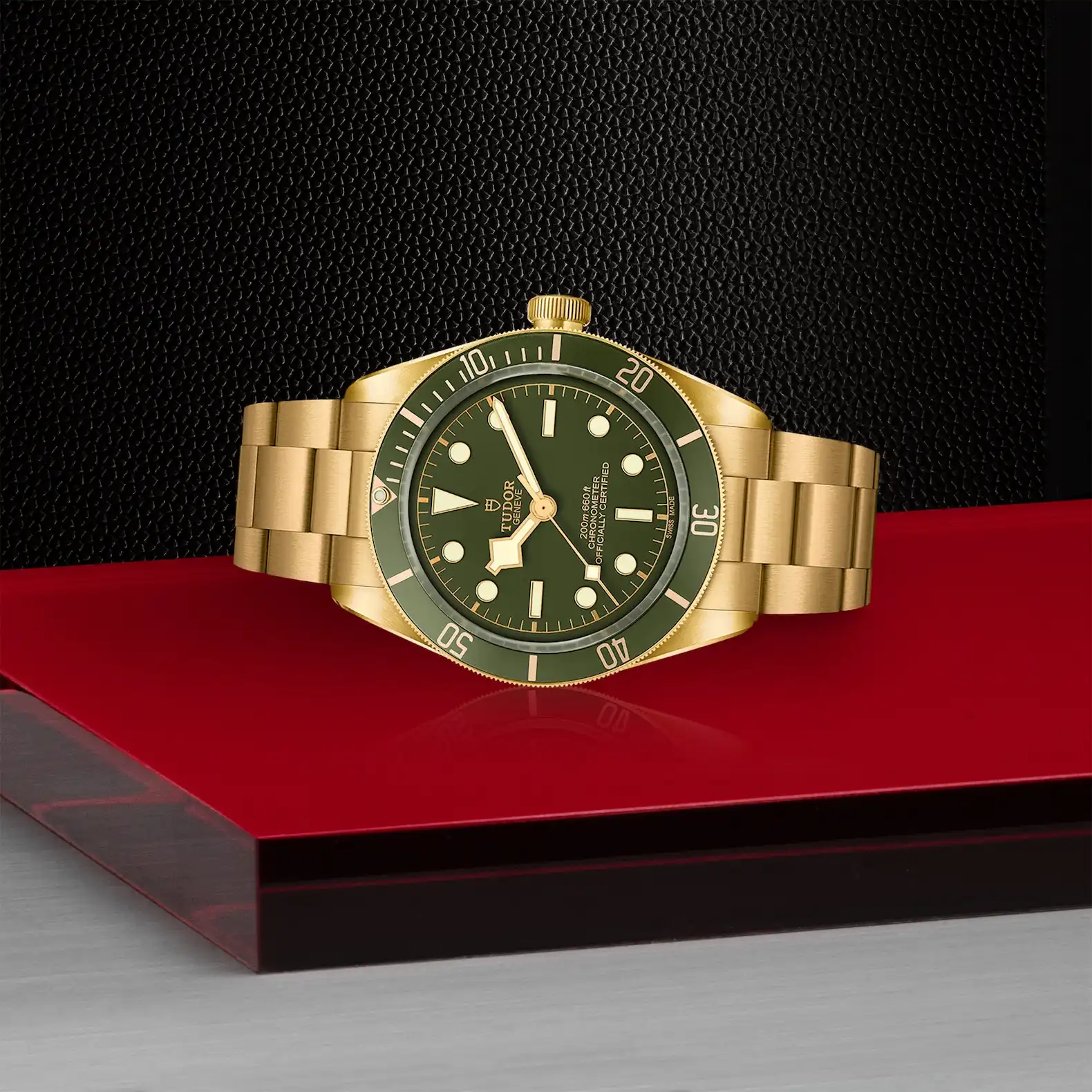 TUDOR M79018V-0006