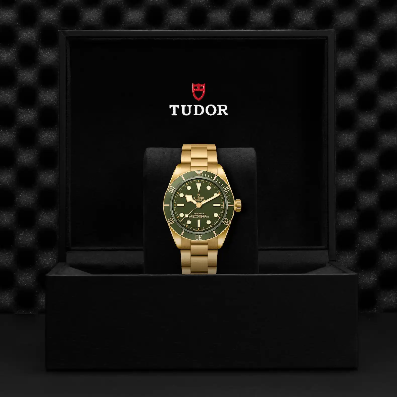 TUDOR M79018V-0006