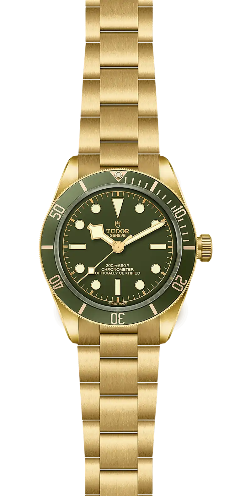 TUDOR BLACK BAY FIFTY-EIGHT 18K - M79018V-0006